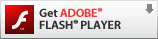 ADOBE FLASH PLAYER DOWNLOAD