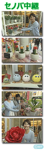 セノバ前に花屋さんが まるごと Daiichi Tv
