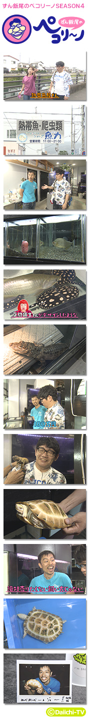 ずん飯尾のペコリーノ4 静岡市駿河区 まるごと Daiichi Tv