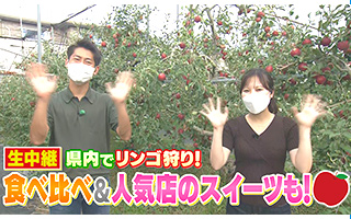 生中継 県内でリンゴ狩り まるごと Daiichi Tv