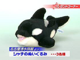 ごと 得ナビ 名古屋水族館よりシャチのぬいぐるみをプレゼント Daiichi Tv ごと 得ナビ 名古屋水族館よりシャチのぬいぐるみをプレゼント Daiichi Tv