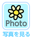 写真を見る